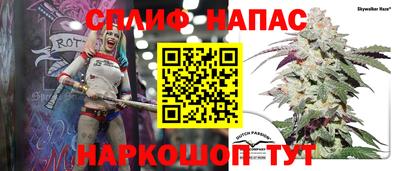 прущие грибы Апшеронск