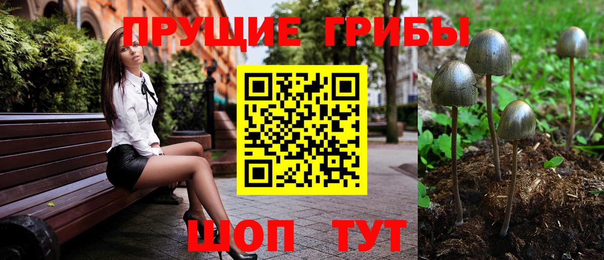 Галлюциногенные грибы Psilocybine cubensis  Вход с VPN  даркнет сайт  Белорецк 