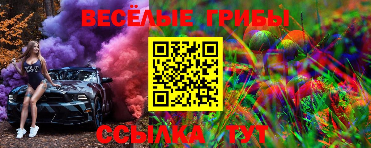 Галлюциногенные грибы Psilocybe Белорецк